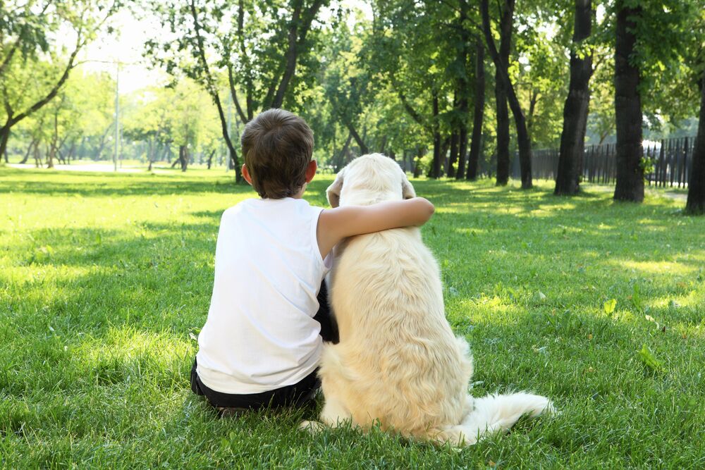 Oregon Pet Laws: How to Handle Unauthorized Pets (2026)