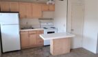 1027 Felspar Street - San Diego - California - 1 bed, 1 bath rental property