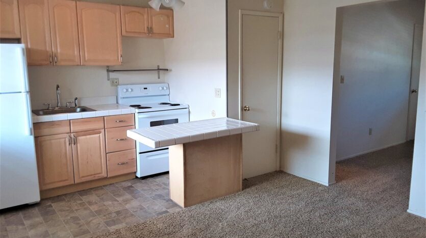 1027 Felspar Street - San Diego - California - 1 bed, 1 bath rental property