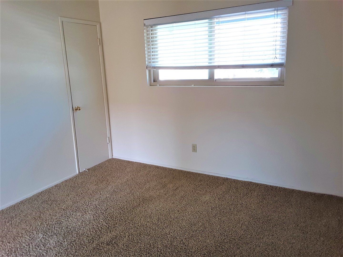 1027 Felspar Street - San Diego - California - 1 bed, 1 bath rental property