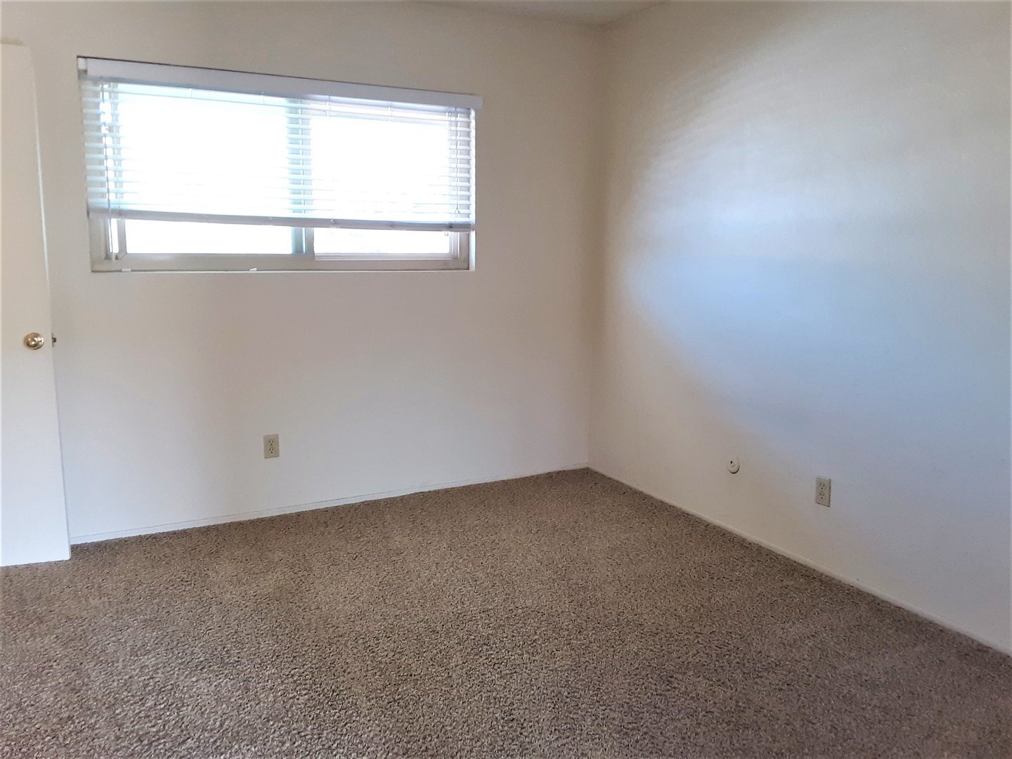 1027 Felspar Street - San Diego - California - 1 bed, 1 bath rental property