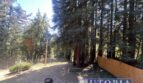 10585 Redwood Dr. - Felton - California - 2 bed, 1 bath rental property