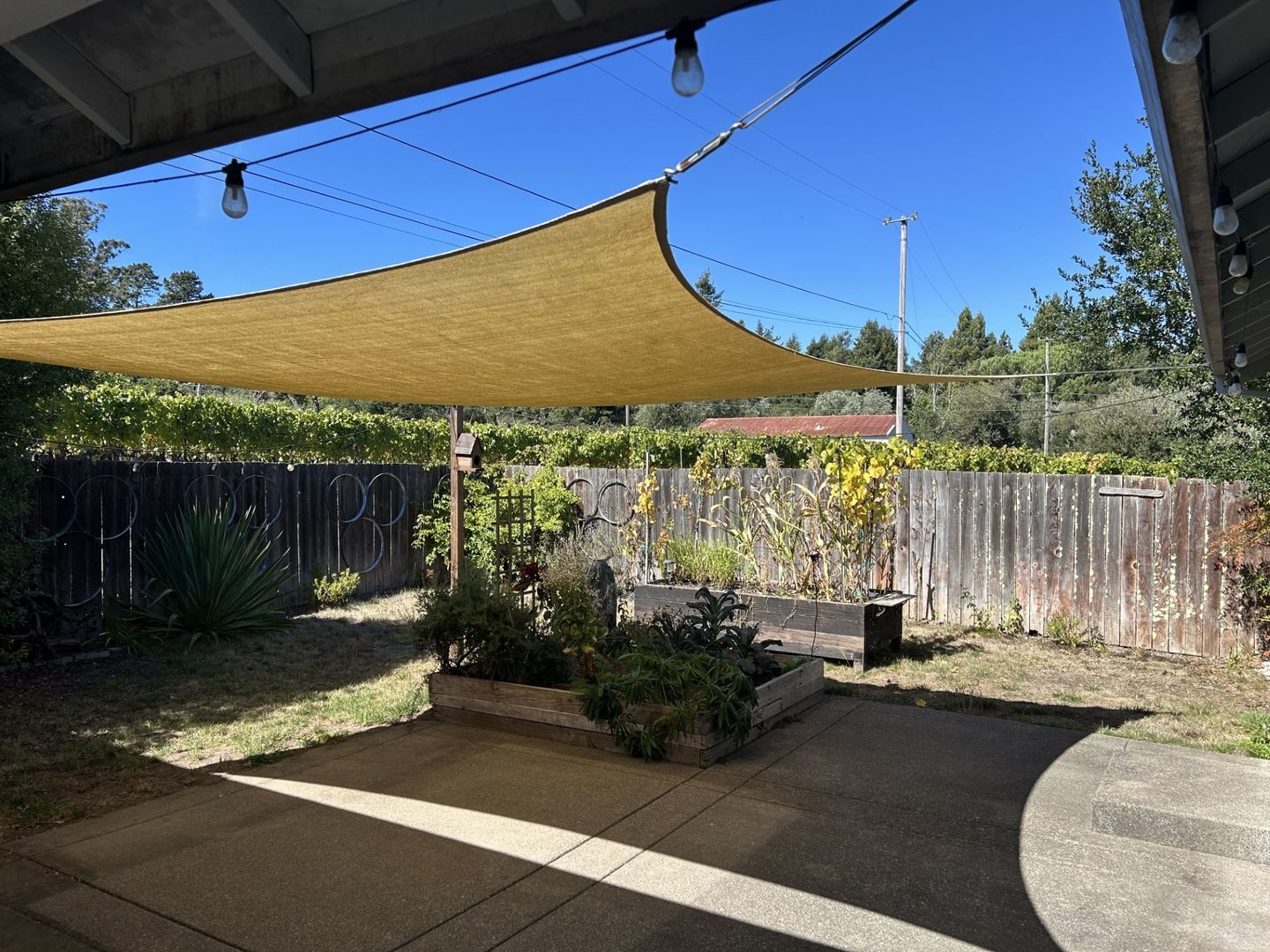 1806 Darby Road  - Sebastopol - California - 2 bed, 1 bath rental property