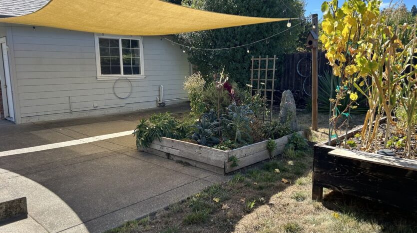 1806 Darby Road  - Sebastopol - California - 2 bed, 1 bath rental property