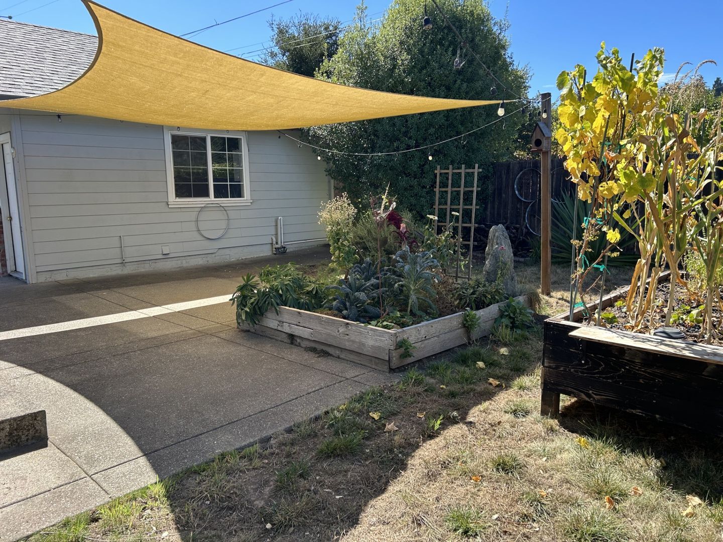 1806 Darby Road  - Sebastopol - California - 2 bed, 1 bath rental property