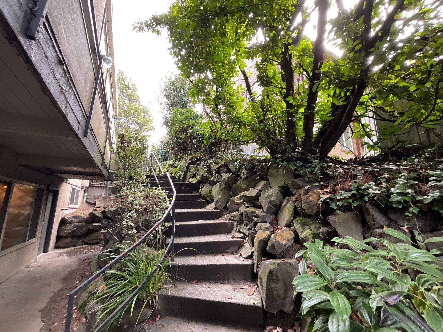 3227 14th Ave W - # 01 - Seattle - Washington - 1 bed, 1 bath rental property