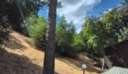 3265 Marlene Drive - Lafayette - California - 3 bed, 1.5 bath rental property