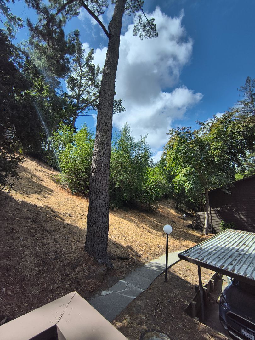 3265 Marlene Drive - Lafayette - California - 3 bed, 1.5 bath rental property
