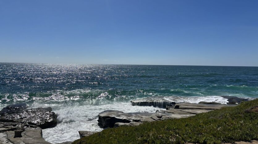343 Playa Del Sur - San Diego - California - 1 bed, 1 bath rental property