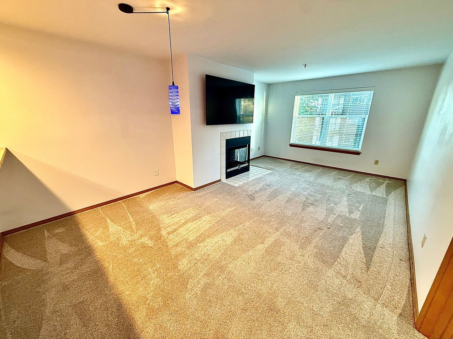 3901 Fremont Ave N  APT 206 - Seattle - Washington - 1 bed, 1 bath rental property
