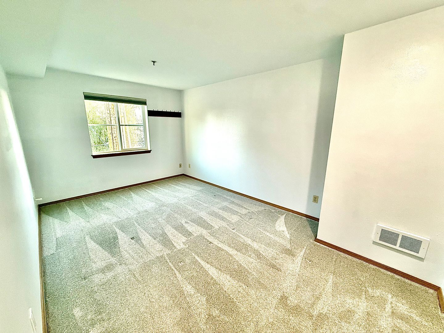 3901 Fremont Ave N  APT 206 - Seattle - Washington - 1 bed, 1 bath rental property