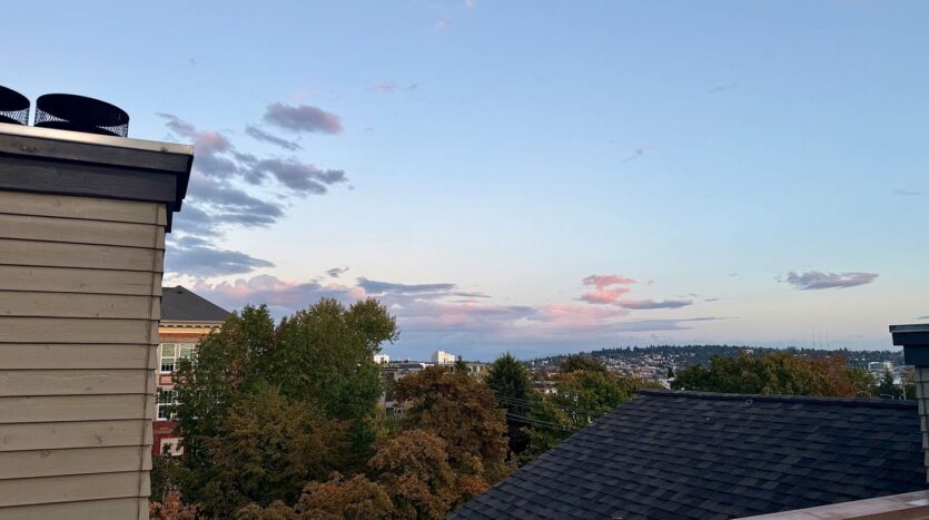 3901 Fremont Ave N  APT 206 - Seattle - Washington - 1 bed, 1 bath rental property