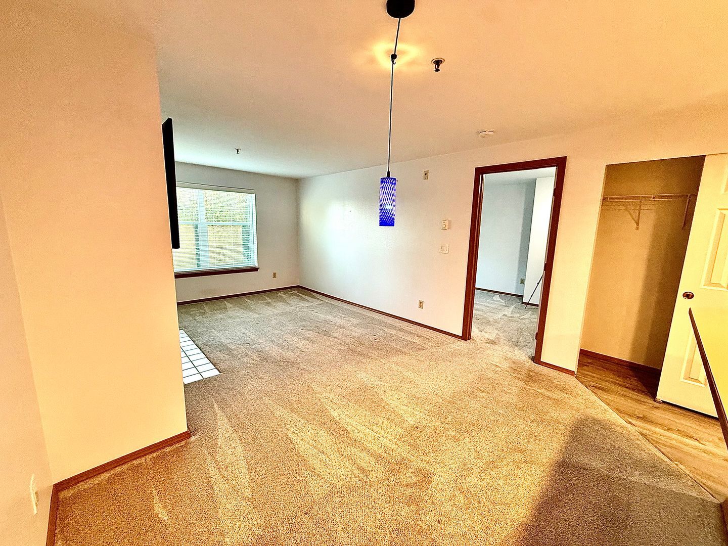 3901 Fremont Ave N  APT 206 - Seattle - Washington - 1 bed, 1 bath rental property