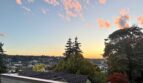 3901 Fremont Ave N  APT 206 - Seattle - Washington - 1 bed, 1 bath rental property