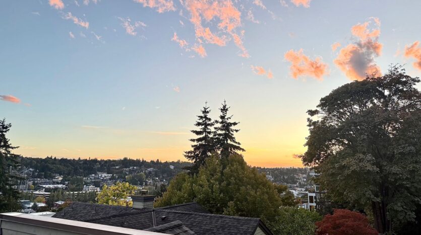 3901 Fremont Ave N  APT 206 - Seattle - Washington - 1 bed, 1 bath rental property