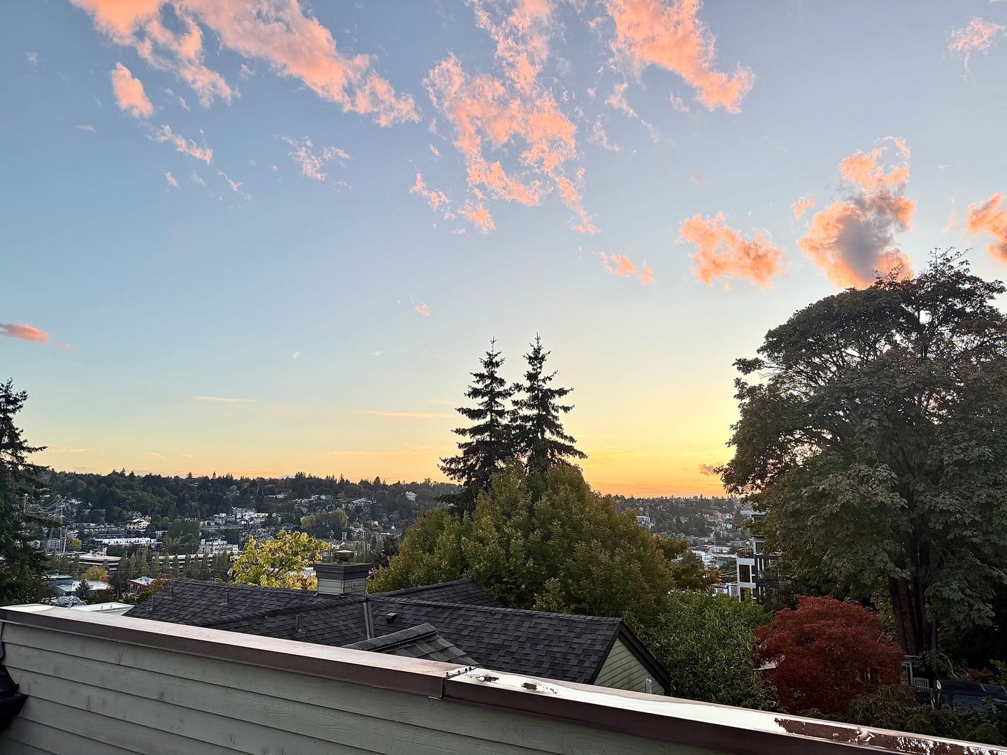 3901 Fremont Ave N  APT 206 - Seattle - Washington - 1 bed, 1 bath rental property