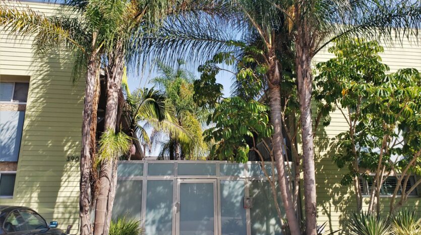 3907 Georgia St. #1 - San Diego - California - 1 bed, 1 bath rental property