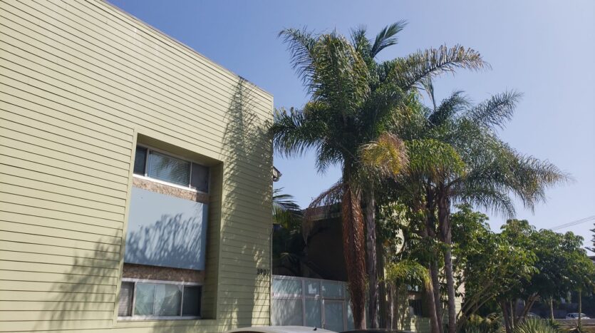 3907 Georgia St. #1 - San Diego - California - 1 bed, 1 bath rental property