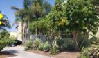 3907 Georgia St. #1 - San Diego - California - 1 bed, 1 bath rental property