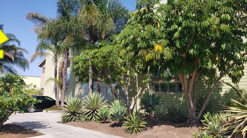 3907 Georgia St. #1 - San Diego - California - 1 bed, 1 bath rental property