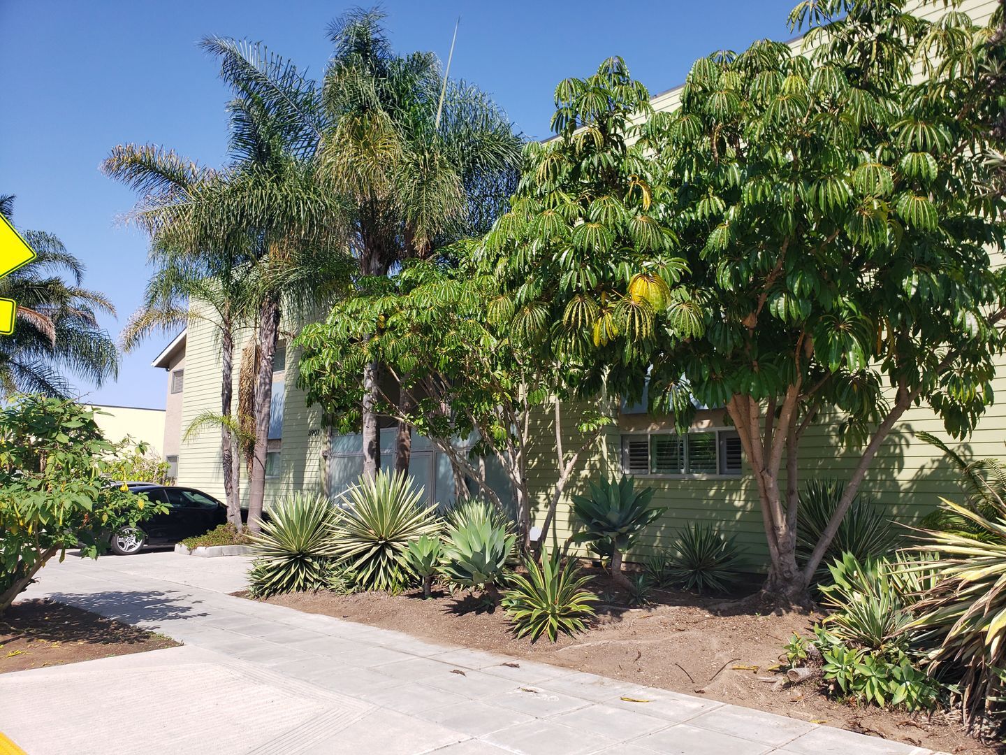 3907 Georgia St. #1 - San Diego - California - 1 bed, 1 bath rental property