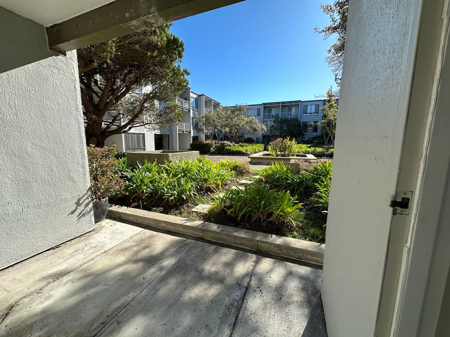 4 Anchor Drive #233 - Emeryville - California - 1 bath rental property