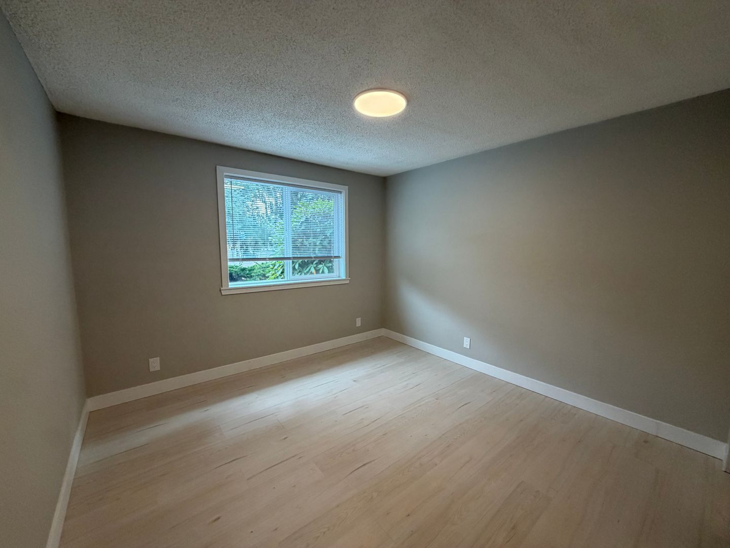 4700 124th St Ct SW - Lakewood - Washington - 1 bed, 1 bath rental property