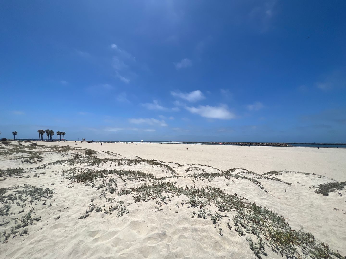 5065 W. Point Loma Blvd -D - San Diego - California - 1 bed, 1 bath rental property