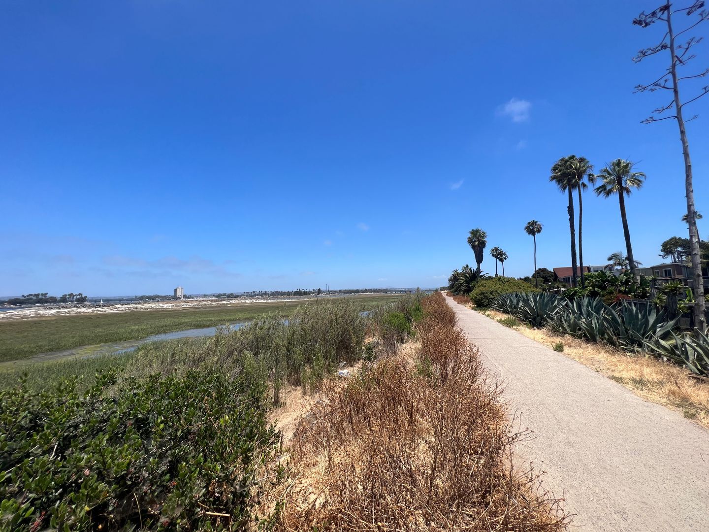 5065 W. Point Loma Blvd -D - San Diego - California - 1 bed, 1 bath rental property