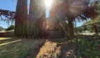 535 N Harbor Blvd  - West Sacramento - California - 3 bed, 1 bath rental property