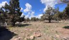65280 76th St - Bend - Oregon - 3 bed, 2 bath rental property