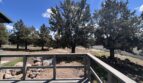 65280 76th St - Bend - Oregon - 3 bed, 2 bath rental property