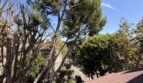 8707 Falmouth Ave Unit 304 - Los Angeles - California - 1 bed, 1 bath rental property