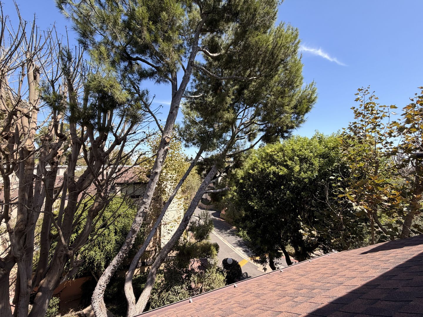 8707 Falmouth Ave Unit 304 - Los Angeles - California - 1 bed, 1 bath rental property