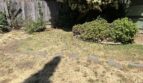 925-A Virginia Street - Vallejo - California - 1 bed, 1 bath rental property