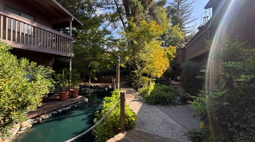 951 Fulton Ave  Unit 531 - Sacramento - California - 1 bed, 1 bath rental property