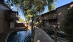 951 Fulton Ave  Unit 531 - Sacramento - California - 1 bed, 1 bath rental property