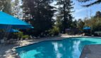 951 Fulton Ave  Unit 531 - Sacramento - California - 1 bed, 1 bath rental property