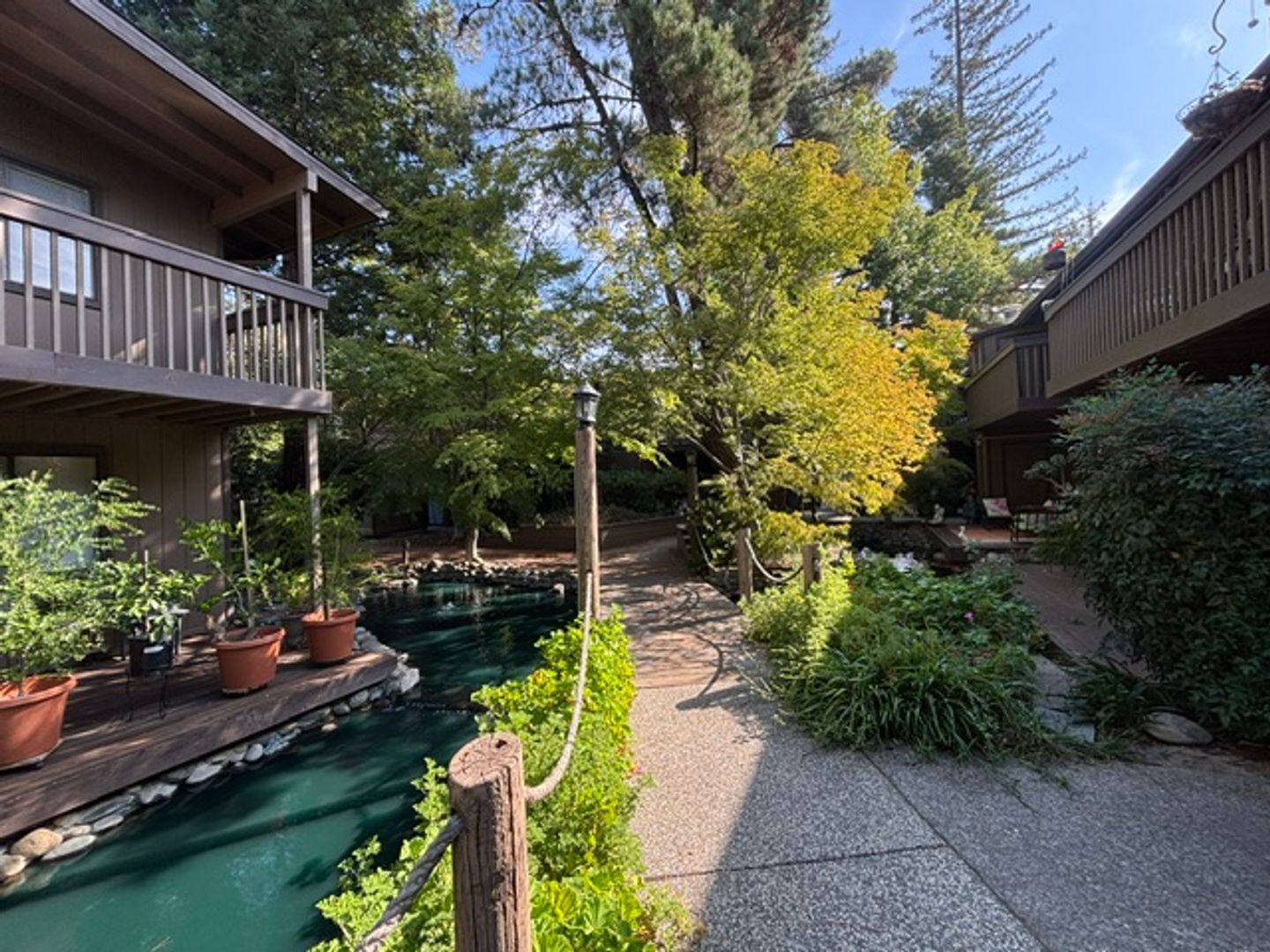951 Fulton Ave  Unit 531 - Sacramento - California - 1 bed, 1 bath rental property