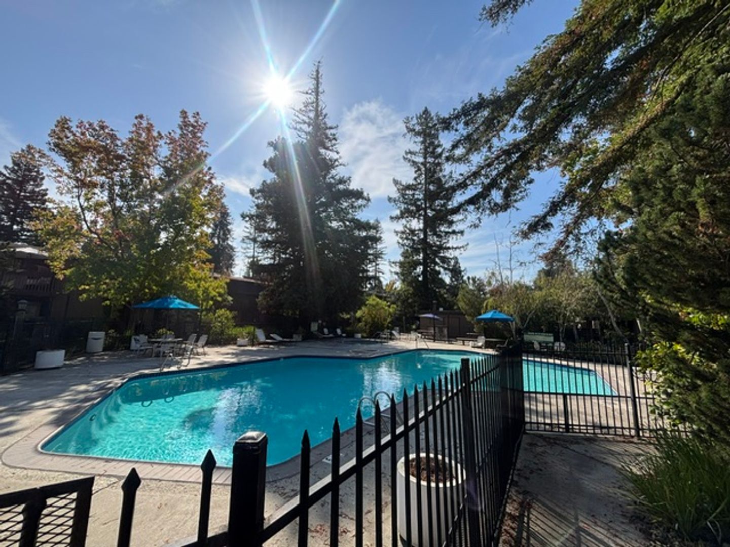 951 Fulton Ave  Unit 531 - Sacramento - California - 1 bed, 1 bath rental property