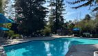 951 Fulton Ave  Unit 531 - Sacramento - California - 1 bed, 1 bath rental property