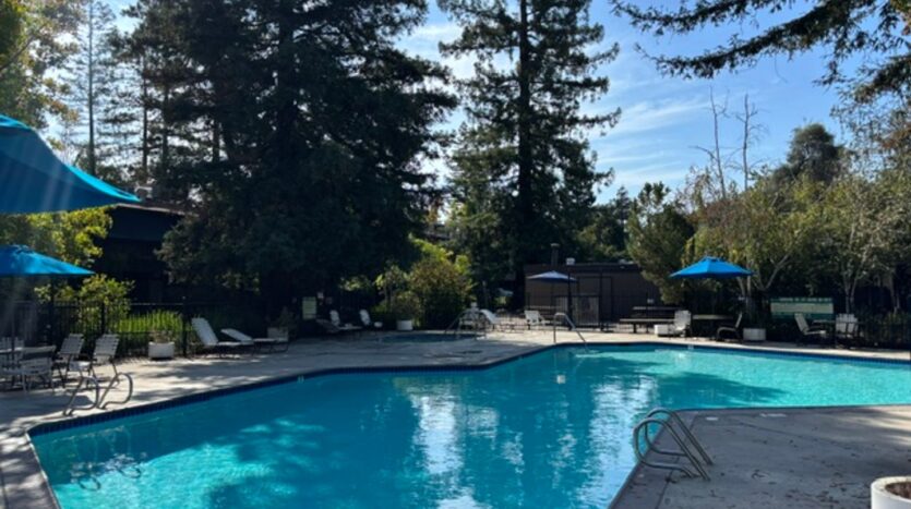951 Fulton Ave  Unit 531 - Sacramento - California - 1 bed, 1 bath rental property