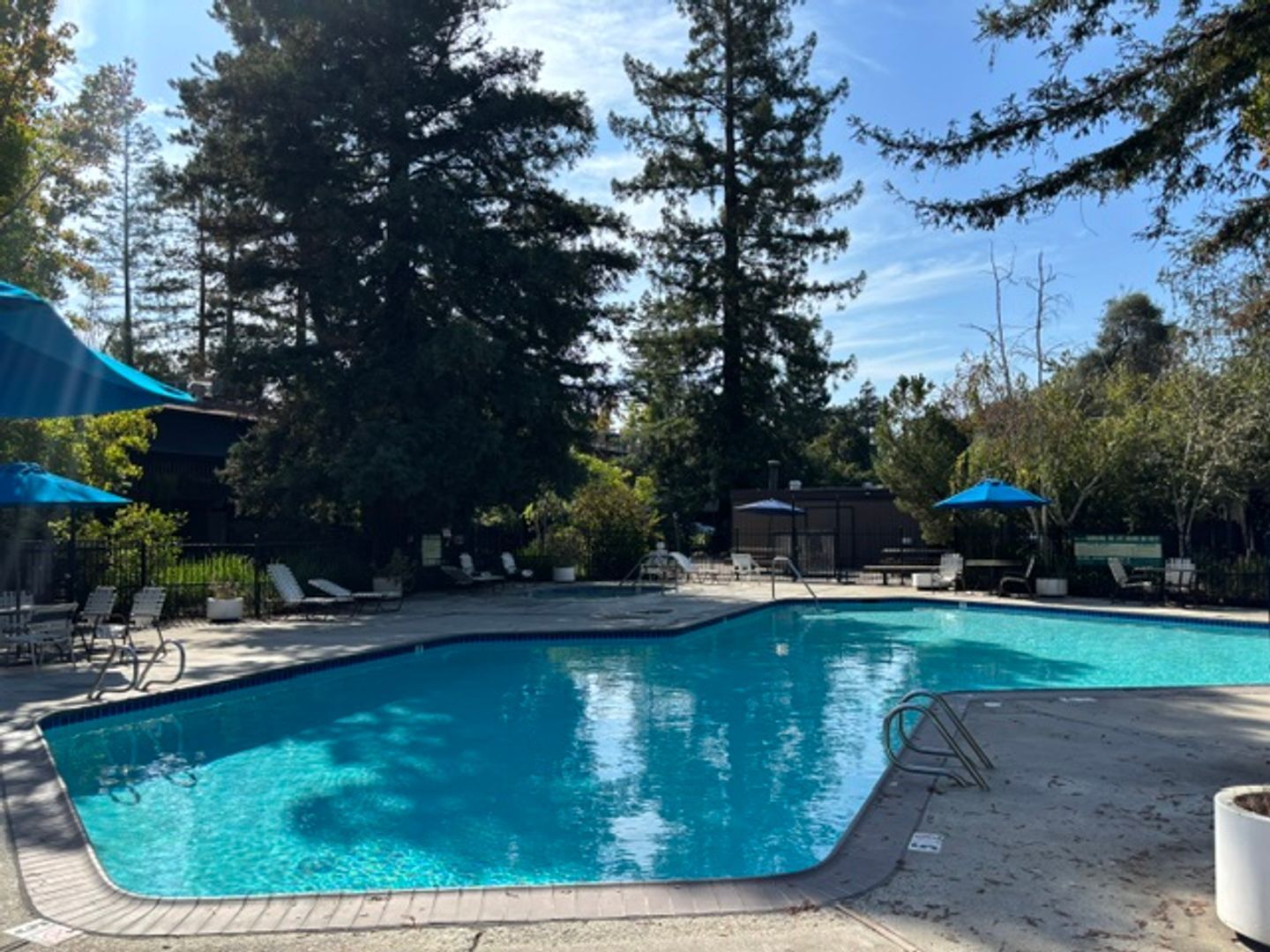 951 Fulton Ave  Unit 531 - Sacramento - California - 1 bed, 1 bath rental property
