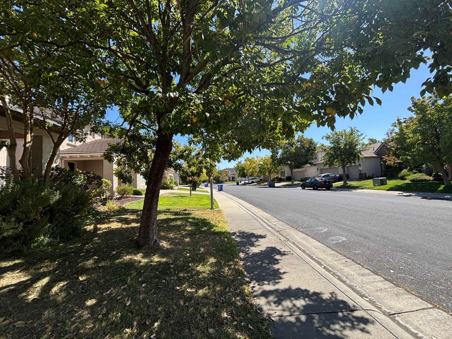 9829 Waterfowl Dr - Elk Grove - California - 5 bed, 3 bath rental property