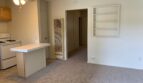 1027 Felspar Street - San Diego - California - 1 bed, 1 bath rental property