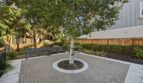 1652 Wonderland Way - Hayward - California - 4 bed, 3.5 bath rental property
