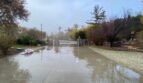 18056 Albyn Ct. - Lake Hughes - California - 3 bed, 2 bath rental property
