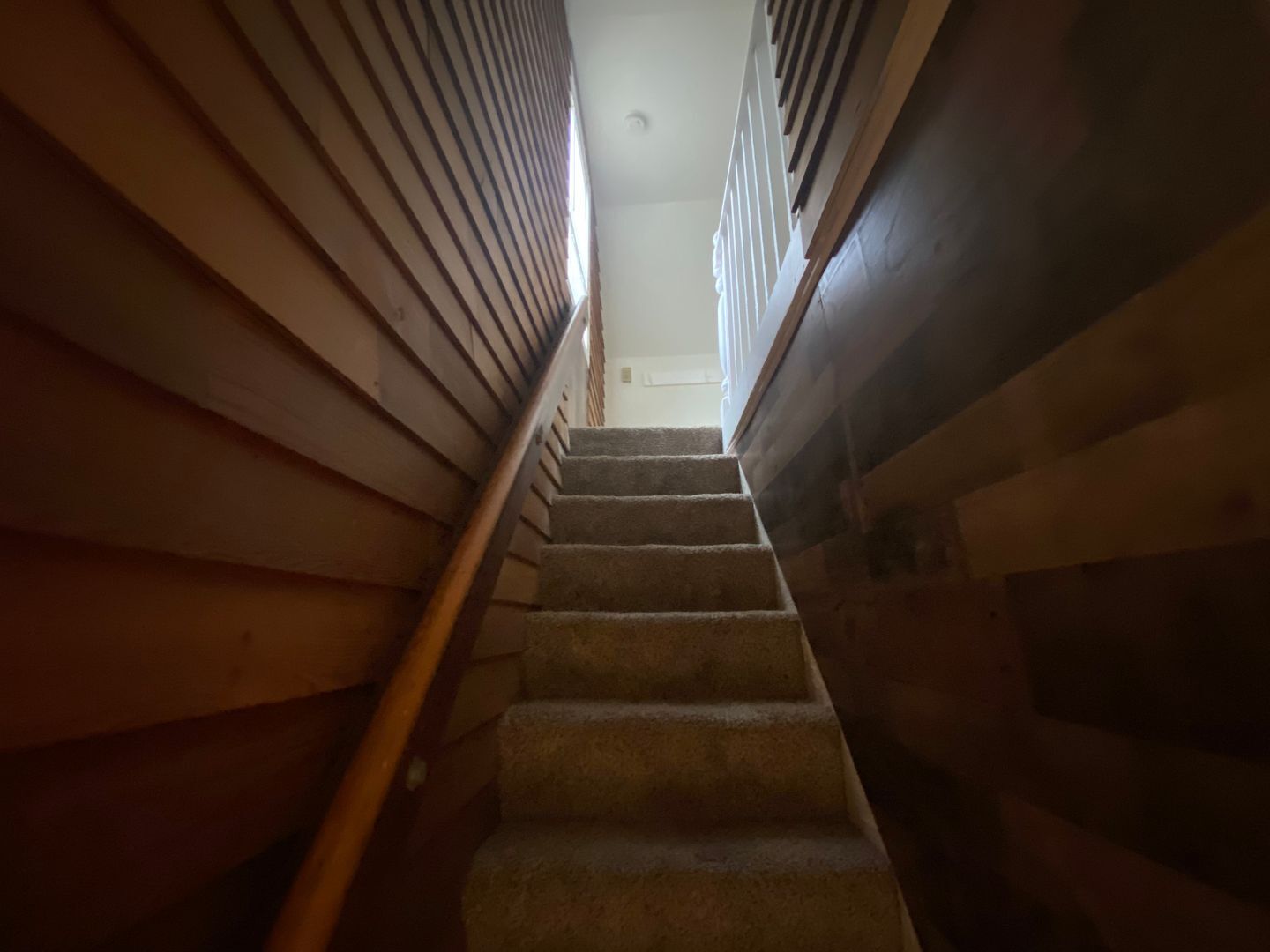 1924 84th St E - Tacoma - Washington - 3 bed, 1.5 bath rental property