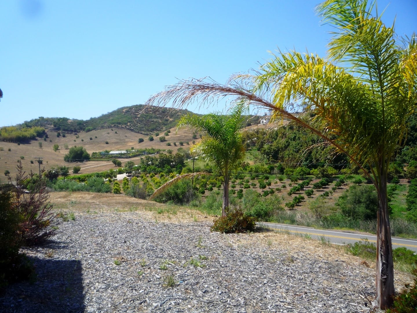 29763 Reza Court - Vista - California - 6 bed, 5.5 bath rental property