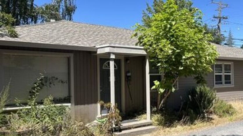 308 Springdale Street  - Sebastopol - California - 1 bed, 1 bath rental property